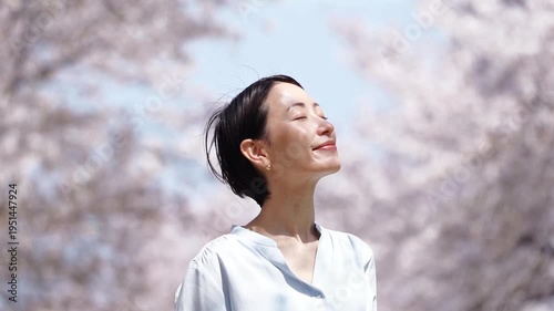 満開の桜と女性　スローモーション