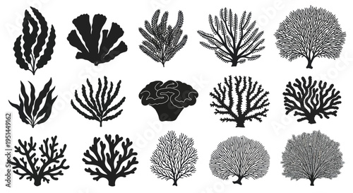 Collection of Diverse Silhouettes of Marine Coral and Seaweed