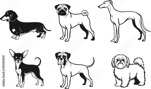 Six distinct dog breeds rendered in black and white line art on a white background