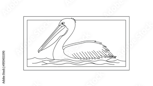 Black and white line drawing of a pelican swimming in water within a rectangular frame, perfect for an animal illustration or a coloring book.