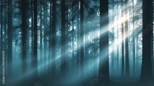 Sunlight Beams Breaking Through a Dense, Misty Forest Canopy