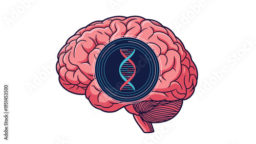 Human brain with a DNA helix symbol at its center, representing neuroscience, genetics, or advanced biological research.