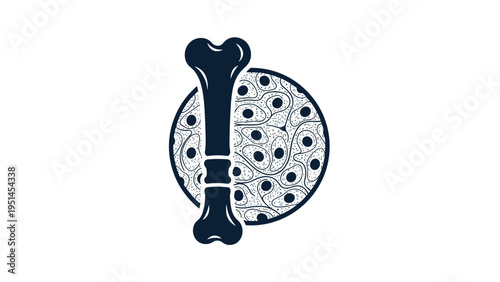 Illustration of a bone structure alongside a magnified view of bone tissue or cells, representing anatomy, biology, or medical science.