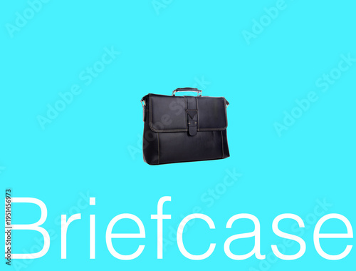 bag or briefcase bag on a background.