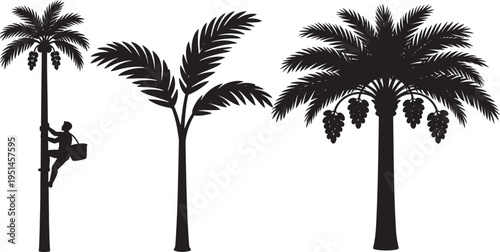 Silhouette icon of a worker harvesting coconuts from three palm trees