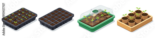 Seedling growth stages from seed tray to individual pots with greenhouse cover