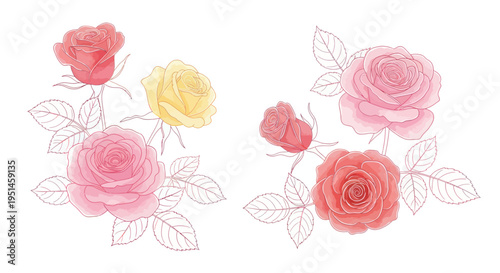 Watercolor Roses Illustration - Pink, Red, Yellow Floral Design