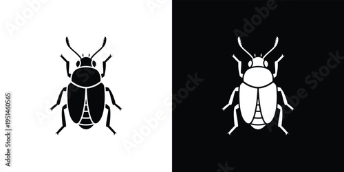 Black and white beetle silhouettes on contrasting backgrounds insect
