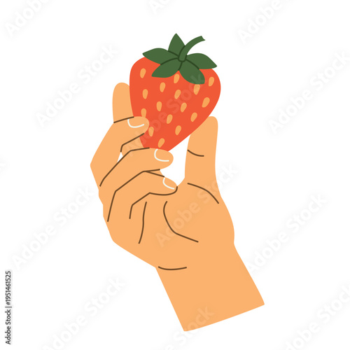 hand with ripe strawberry, fresh fruit, healthy snack, cute red berry, summer food, natural organic fruit - vector illustration
