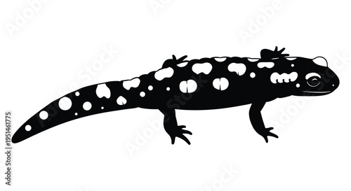 A striking black silhouette of a spotted salamander showcasing its unique form and texture silhouette high quality professional detailed modern elegant