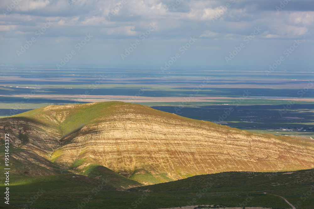 Naklejka premium Carrizo