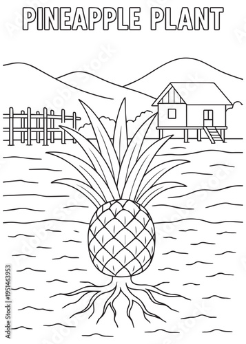 coloring book pineapple plant with visible roots on wet shoreline soil by a stilt house