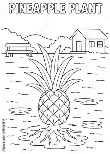 coloring book pineapple plant with exposed roots on muddy shoreline near a dock