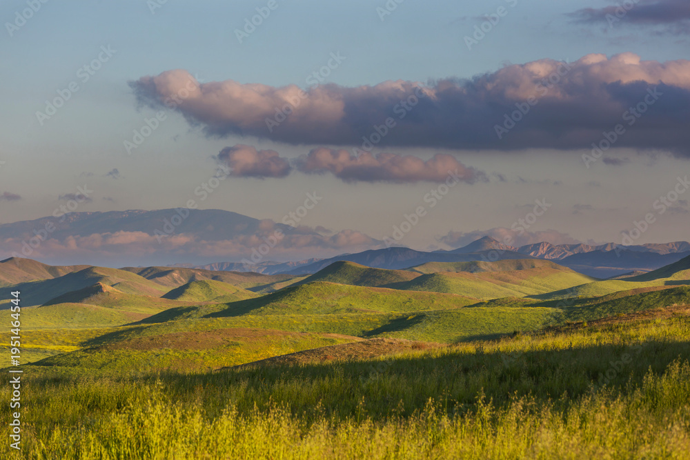 Naklejka premium Carrizo