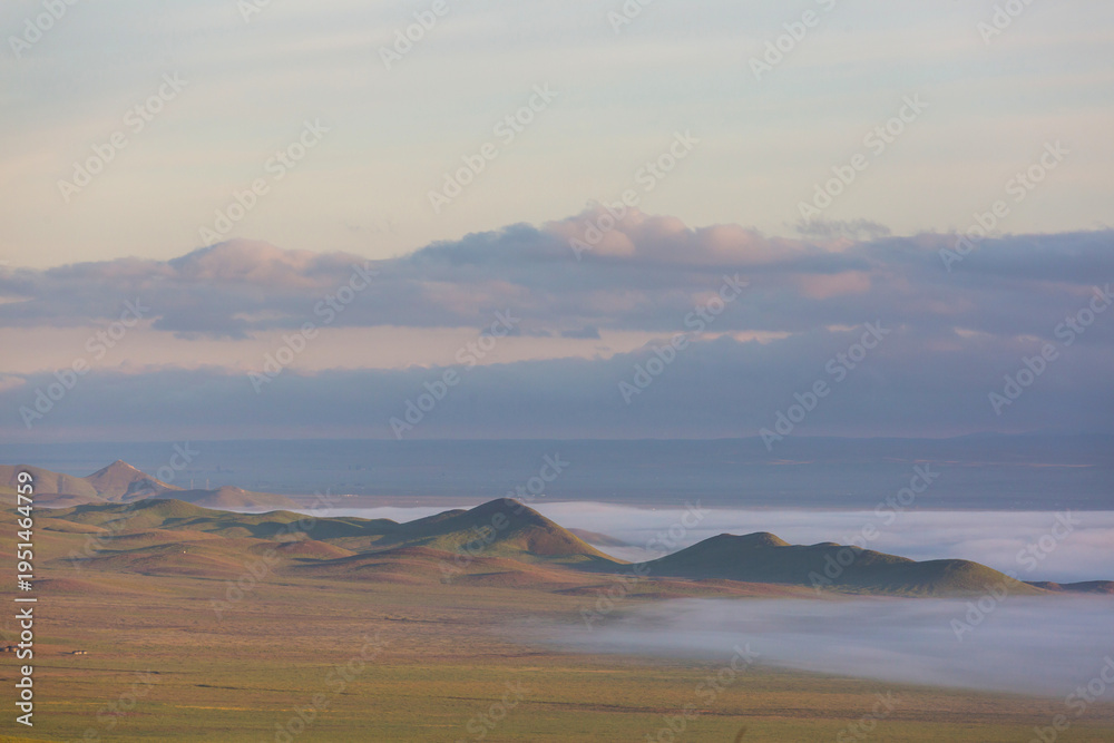 Naklejka premium Carrizo