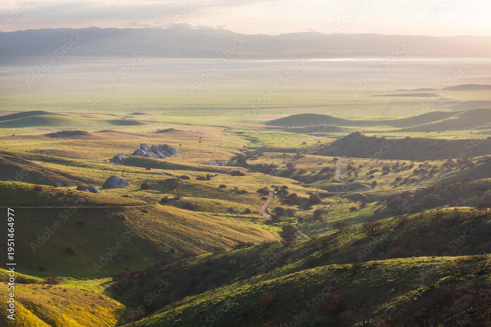 Fototapeta premium Carrizo