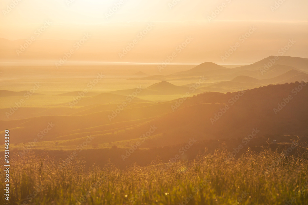 Naklejka premium Sunny meadow