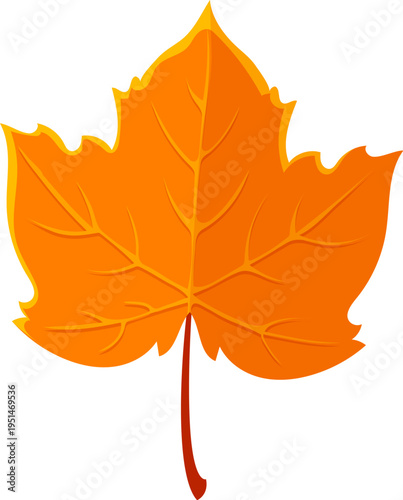 Thanksgiving day marple orange leaf cartoon september object. Thanksgiving october celebration, autumn holiday isolated vector decoration. Fall season marple tree yellow color leaf