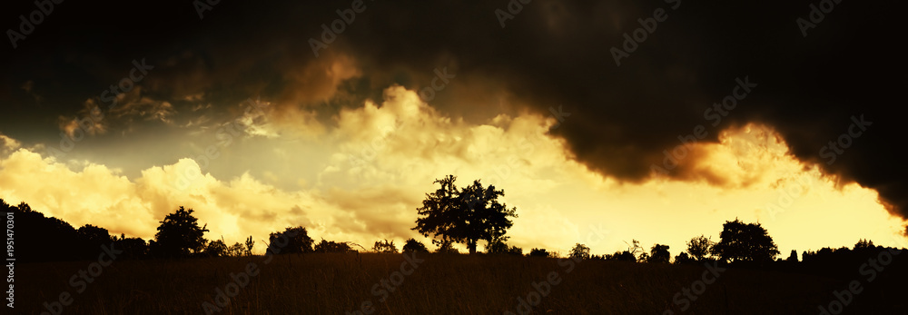 Obraz premium Silhouettes of trees on the horizon against a very dramatic yellow and dark sky. Rural panoramic landscape with high contrast.