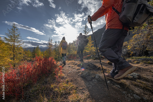 Cuadro en lienzo Back view of group of hikers with backpacks and trekking poles walking on mountain trail during autumn journey with bright sun and scenic forest landscape for travel adventure concept