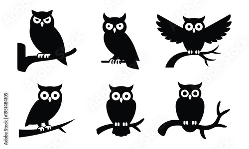 Wise owl black silhouettes vector set - various birds of prey perched on branches for nature, education, or halloween designs
