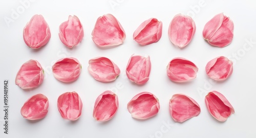 Isolated pink tulip petal arrangement on smooth white surface