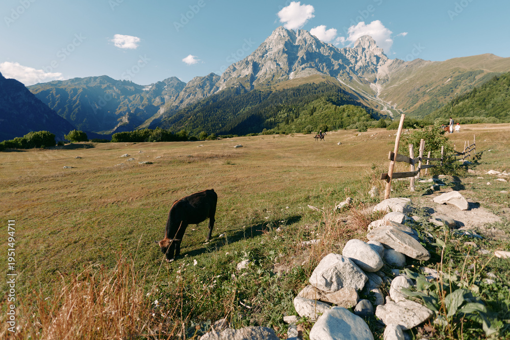 Fototapeta premium Mountain meadow with cow grazing in alpine pasture by a stone fence, rocky peak backdrop and blue sky, rural summer landscape showcasing tranquil pastoral scenery.