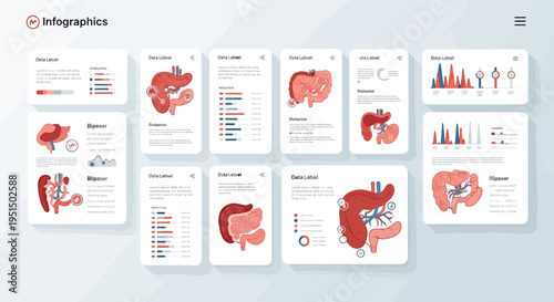 Medical Data Visualization Dashboard of Human Digestive System