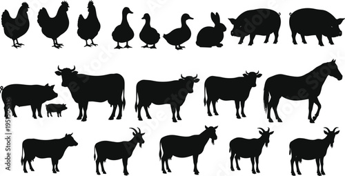 Farm animal silhouette collection featuring chickens ducks rabbits pigs cows horses and goats isolated vector shapes for agricultural design use