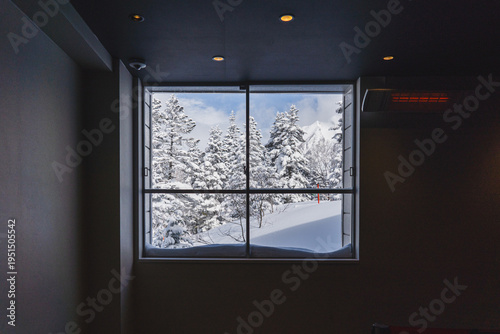 Iced Trees through the windows