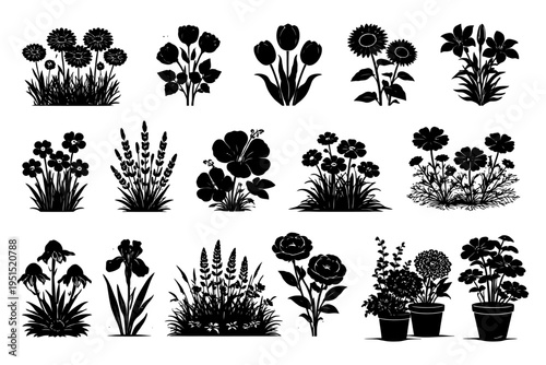 Silhouette collection of various flower designs and arrangements.
