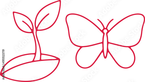 Metamorphosis from caterpillar to butterfly illustrated with simple line art