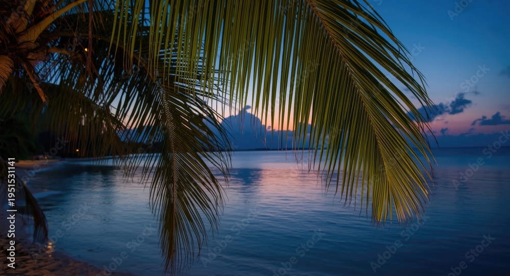 Fototapeta premium Picturesque tropical beach evening with palm leaves and peaceful waterline for holiday banner