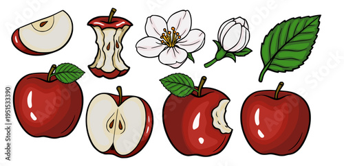 Set of red apples, apple slices, bite marks, core, flower and leaf vector illustration