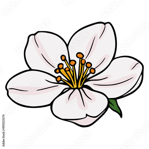 Simple White Flower Vector Illustration with Yellow Stamens and Green Leaf