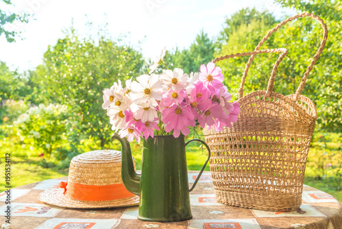 Summer still life; bouquet of pink and white cosmos flowers in a vintage coffee pot, straw hat and wicker basket on a table in a green summer garden by sunny day