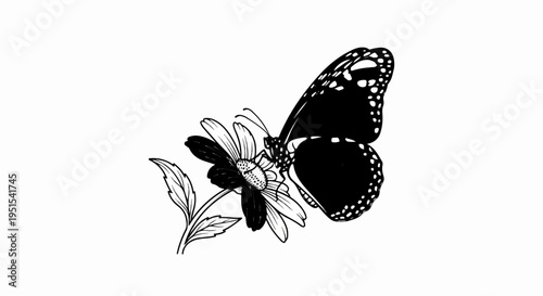Black and white illustration of a butterfly on a flower