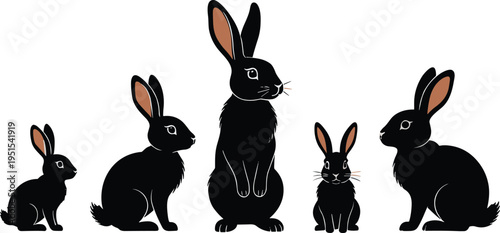 Rabbit silhouette collection showing different bunny poses and sizes, black woodland hare animals isolated on white background, wildlife mammal vector illustration set