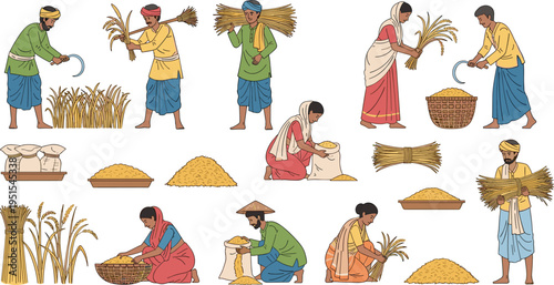 Cartoon Rice Harvest Collection with Farmers Cutting Carrying Threshing Paddy Bundles and Grain Processing Scenes for Agriculture Vector Illustration