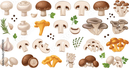Edible Mushroom Variety Collection with Champignon, Shiitake, Oyster, and Wild Forest Mushrooms Isolated Vector Illustration Set for Food Design