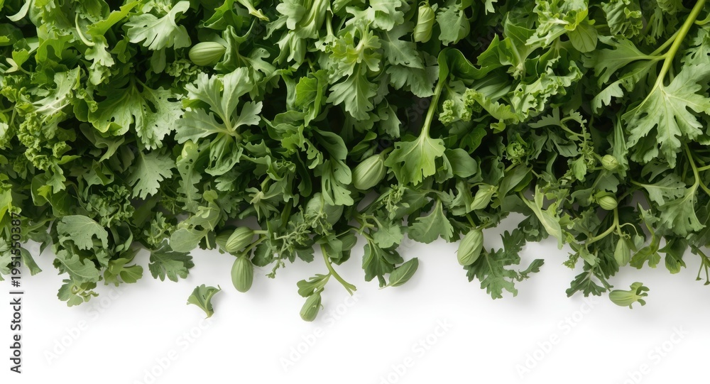 Fototapeta premium Heap of vibrant green vegetables showcased on a white background