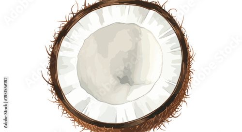 Close-up of a halved coconut on a white background, showcasing its brown husk and white interior with ridged texture.