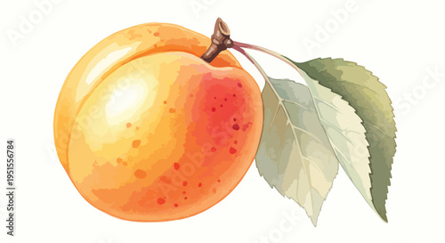 Close-up of a vibrant orange peach with green leaves on a white background, showcasing a realistic watercolor style with warm tones.