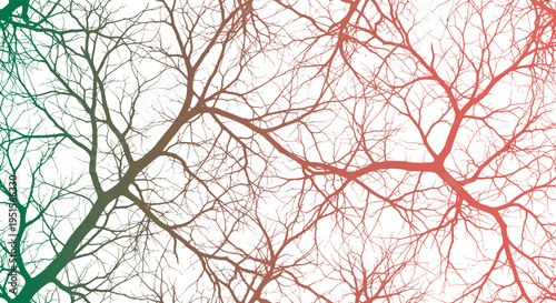 Tree branch vector, Abstract digital art featuring a complex network of leafless tree branches with a dynamic green and red color transition