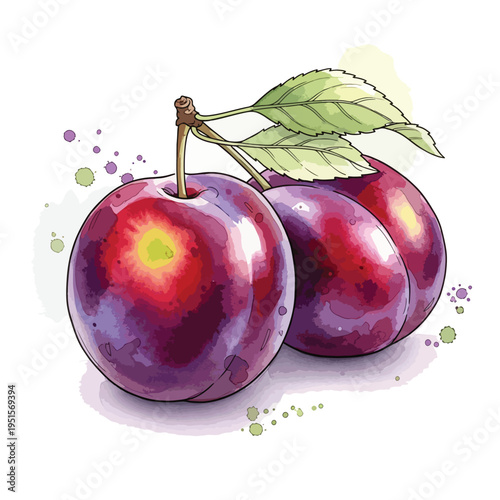 Watercolor illustration of three shiny red plums with a green leaf on a white background with colorful splatters.