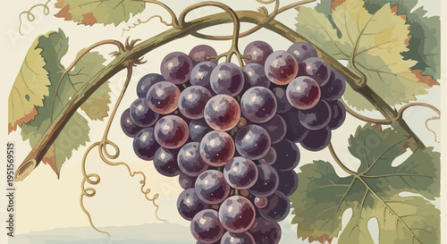 Vibrant purple grapes cluster on a lush vine with green leaves against a soft, pale background.