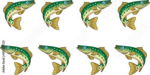 pike fish vector set, freshwater predator illustration, fishing sport design, detailed fish collection, aquatic wildlife concept, realistic angling clipart