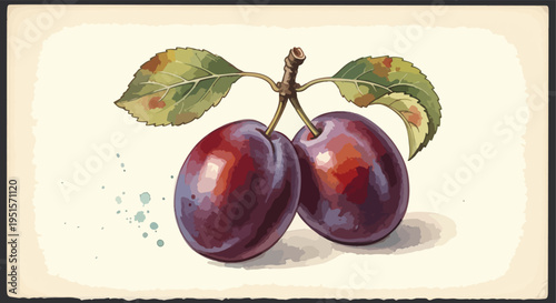Watercolor illustration of two ripe plums on a stem with green leaves against a beige background.