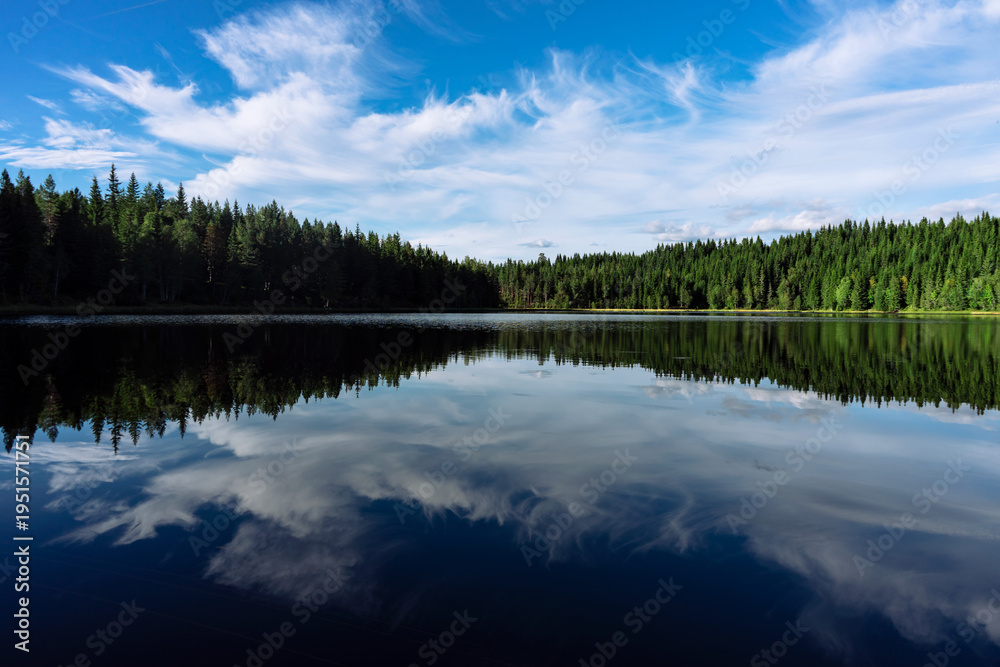Obraz premium lake in the forest