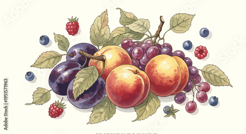 A vibrant still life illustration of assorted fresh fruits including peaches, plums, grapes, blueberries, and strawberries with green leaves on a cream background.